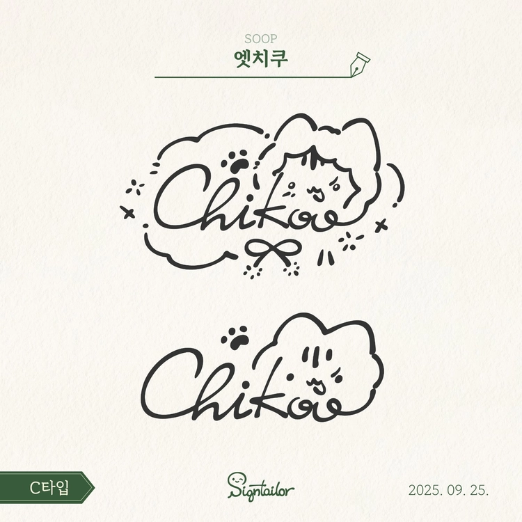 [C타입] 더블 디자인 패키지